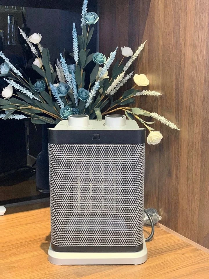 Quạt sưởi Clatronic HL3631