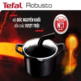 Nồi đúc cao cấp Tefal Robusto có miệng rót 24cm
