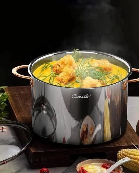 NỒI INOX CIWETE ROYAL KNIGHT SERIES 22CM VUNG KÍNH