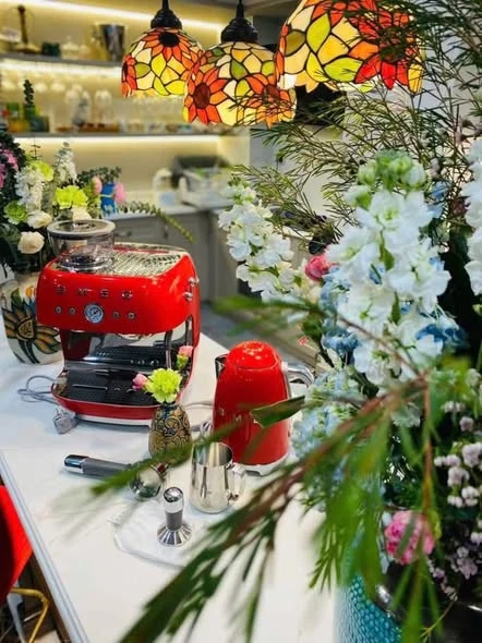 Máy pha cafe SMEG EGF03