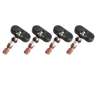 Cảm biến áp suất lốp